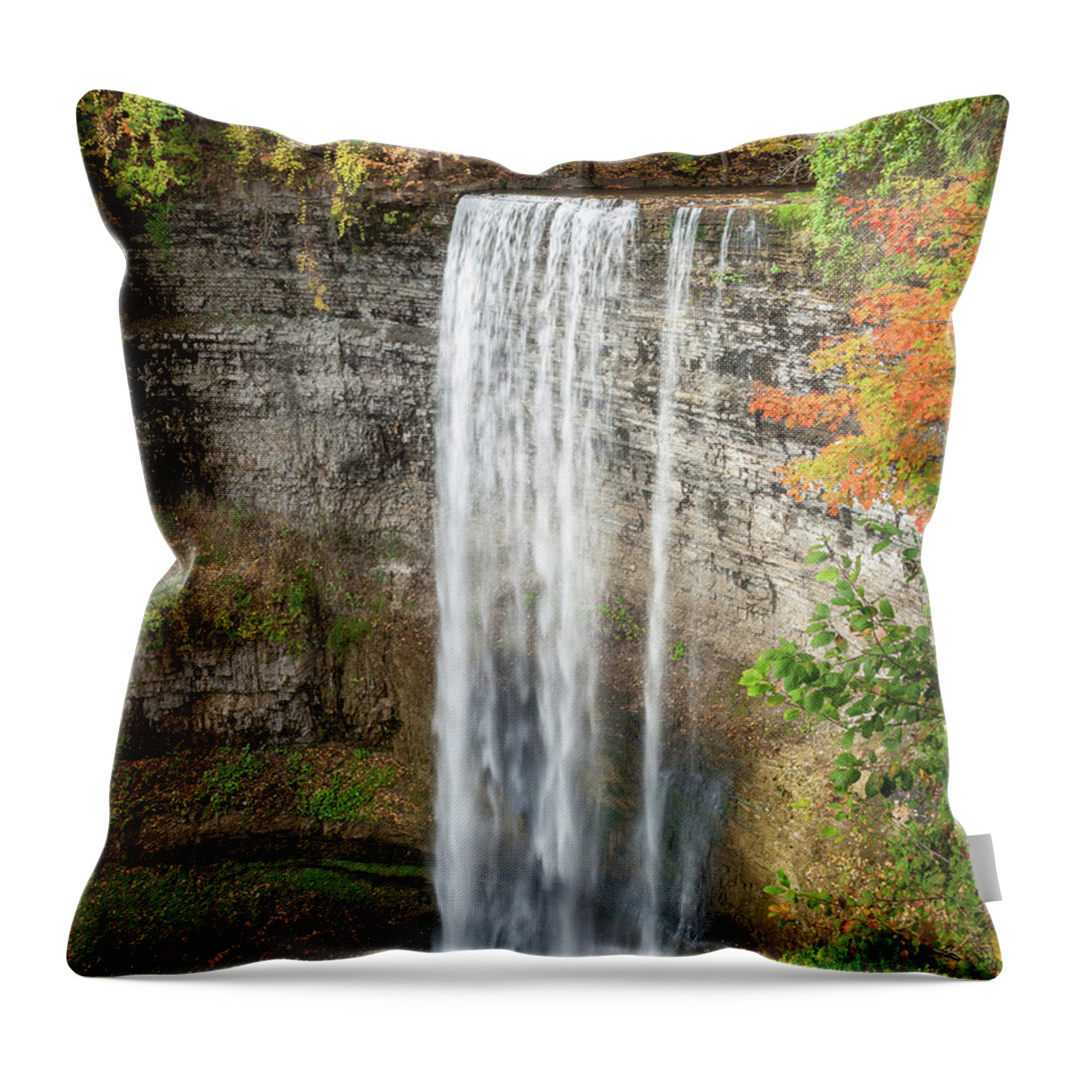Scenics Throw Pillow featuring the photograph Tews Falls, Autumn by Terry A. Mcdonald - Luxborealis.com