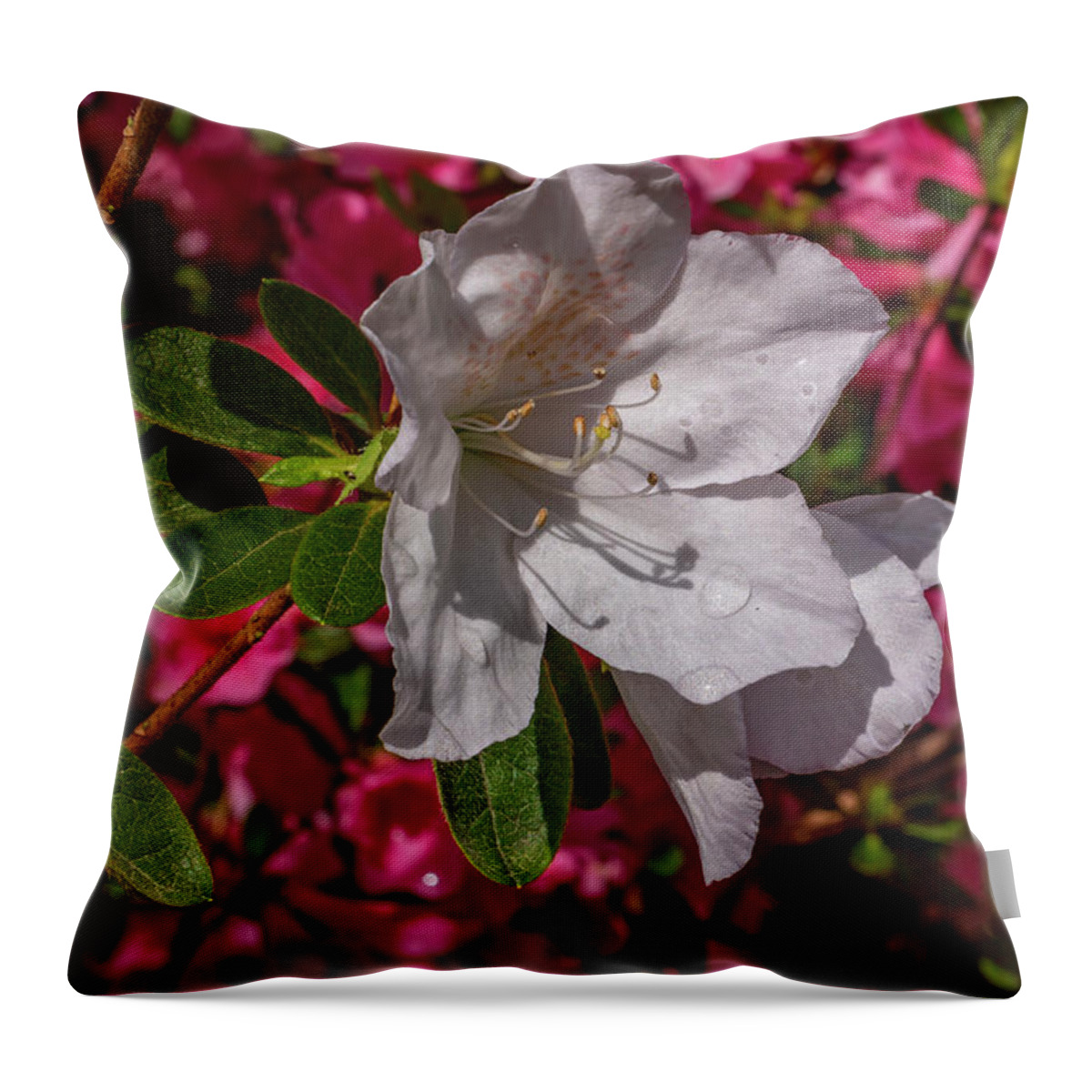 America Throw Pillow featuring the photograph Texture and Contrast by ProPeak Photography