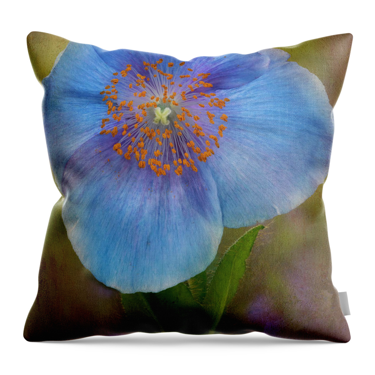 Poppy Throw Pillow featuring the photograph Textured Blue Poppy Flower by Susan Candelario