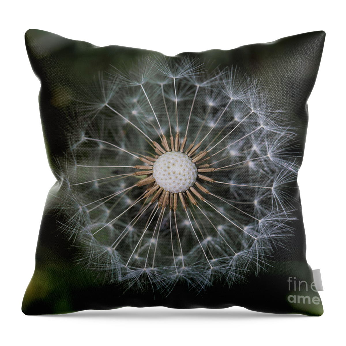 Dandelion Throw Pillow featuring the photograph That's Just Dandy 5 by Dusty Wynne