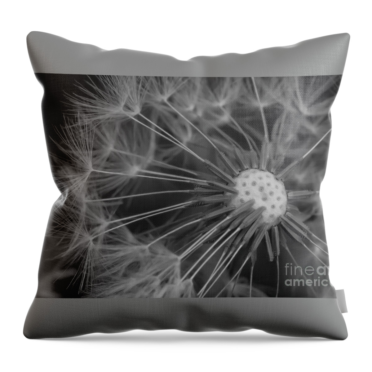 Dandelion Throw Pillow featuring the photograph That's Just Dandy 9 by Dusty Wynne