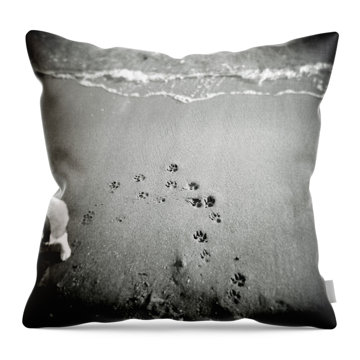 Pets Throw Pillow featuring the photograph The Beach by Moaan