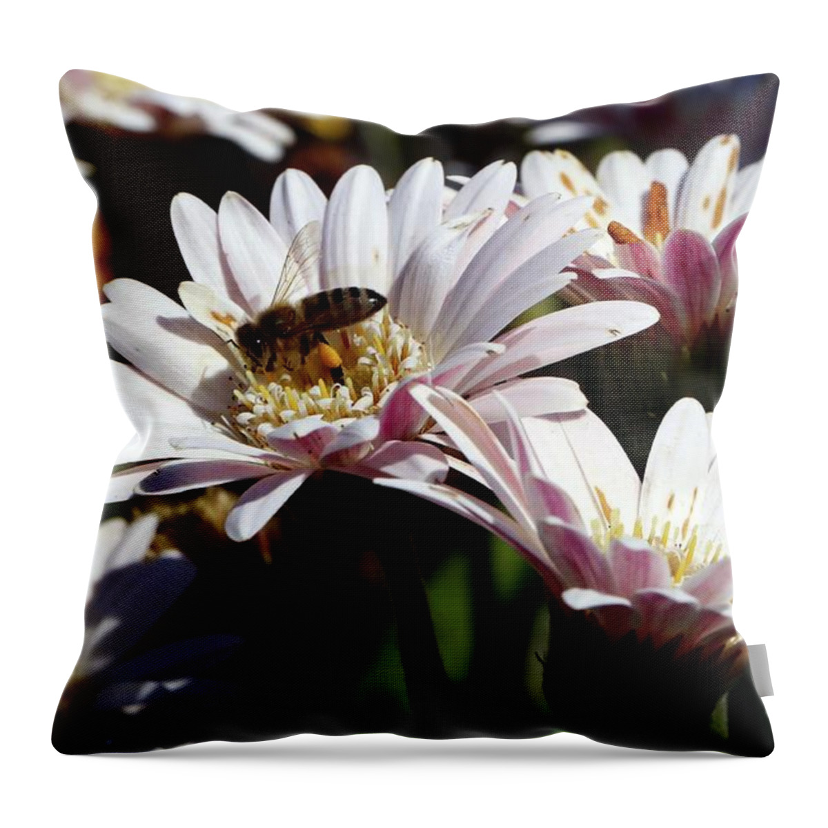 Flowers Throw Pillow featuring the photograph The Bee by Terri Brewster