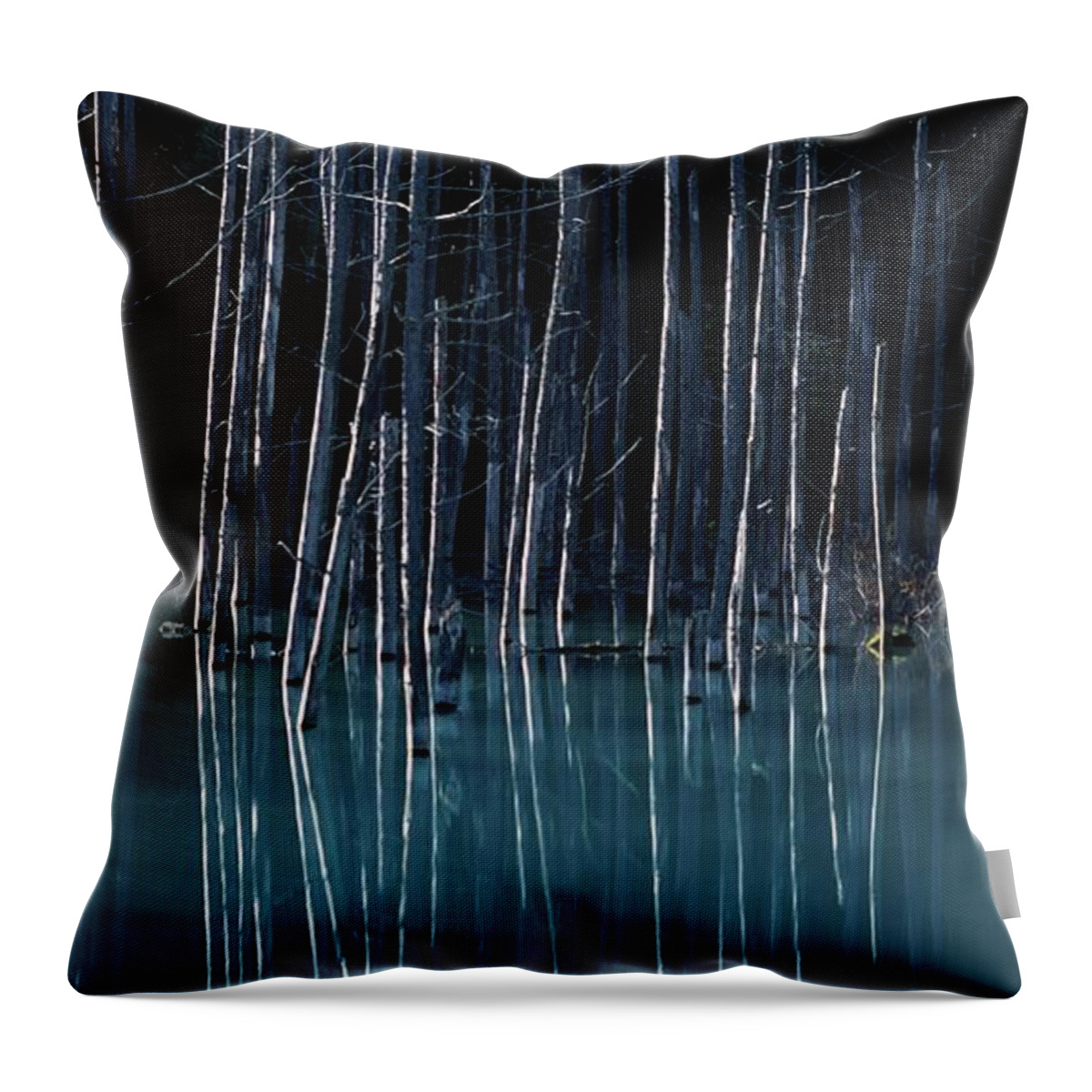Tranquility Throw Pillow featuring the photograph The Blue Pond by ©ichirou Hidano