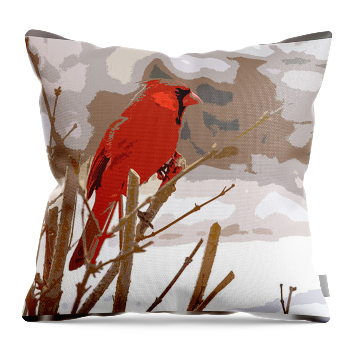 Winter Throw Pillow featuring the photograph The Color of Winter by Andrew Zydell