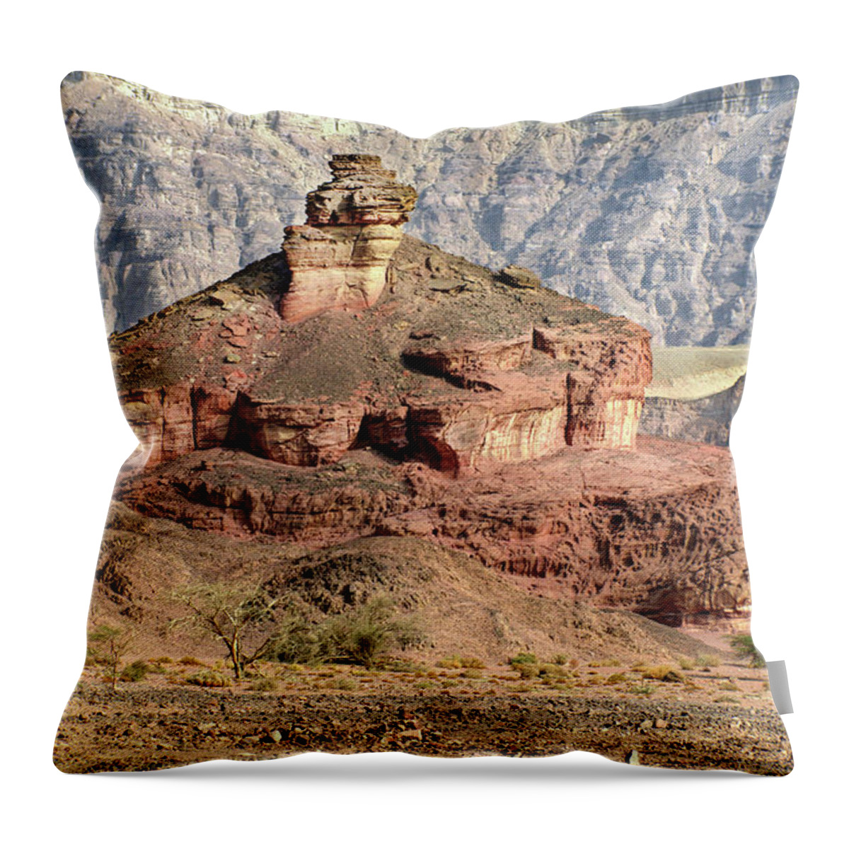 Country Throw Pillow featuring the photograph The colored Bolt Hill At sunrise by Arik Baltinester
