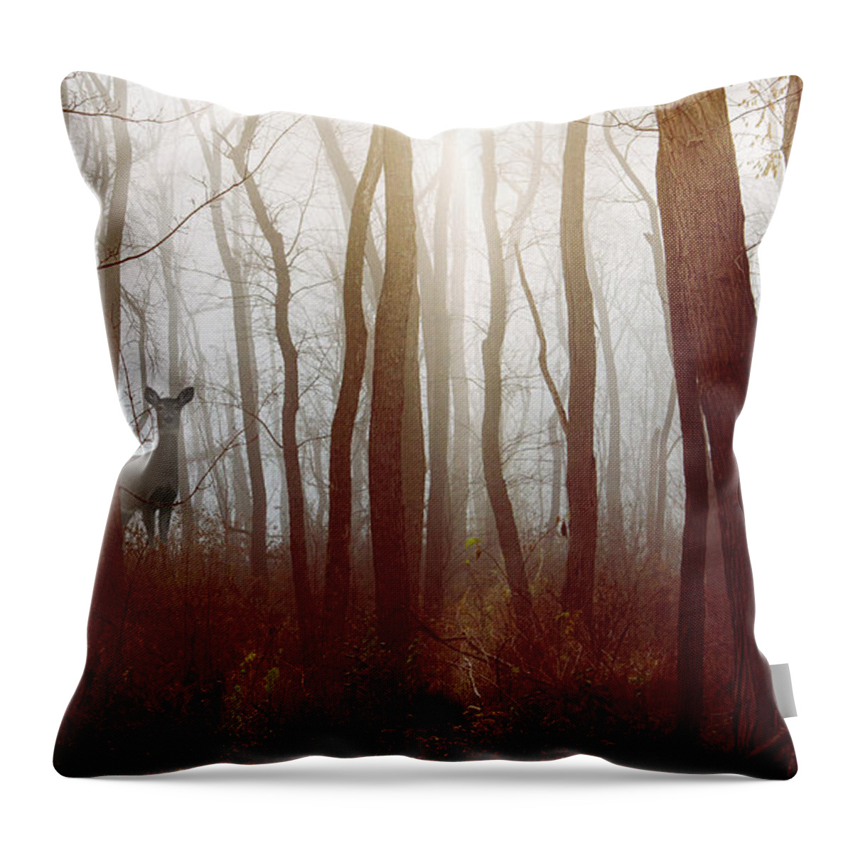 Dupage County Throw Pillow featuring the photograph The Deer in the Fog by Joni Eskridge by Joni Eskridge