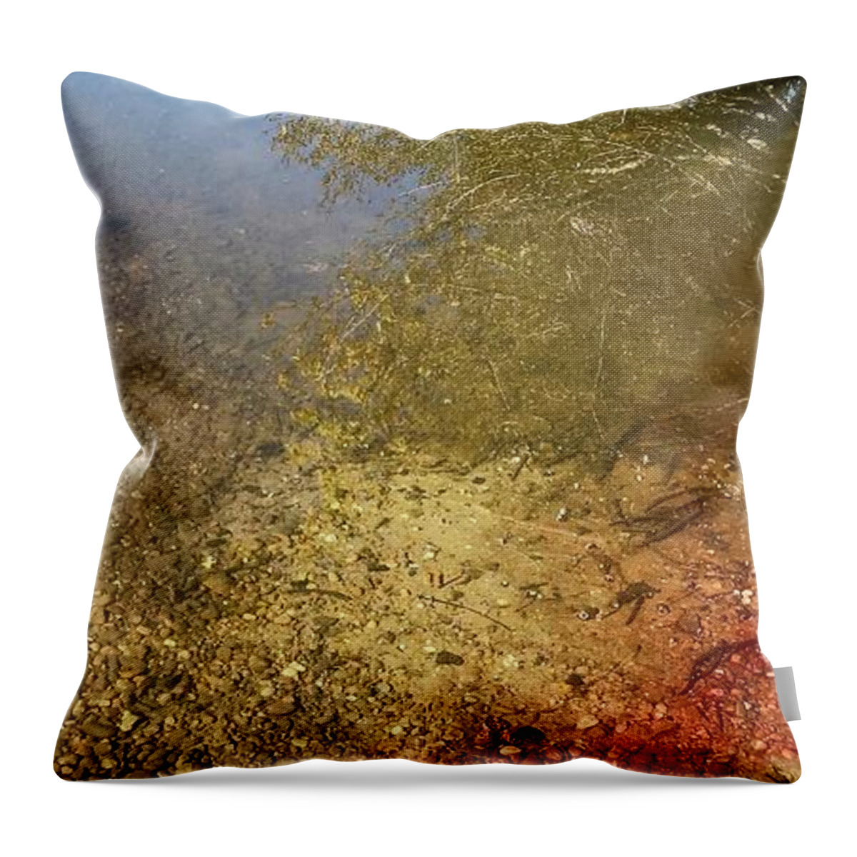 The Throw Pillow featuring the painting The earth is Bleeding by Pierre Dijk