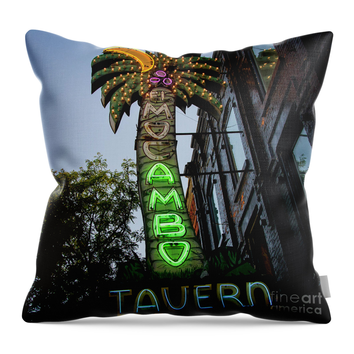 Toronto Throw Pillow featuring the photograph The Elmo by Lenore Locken