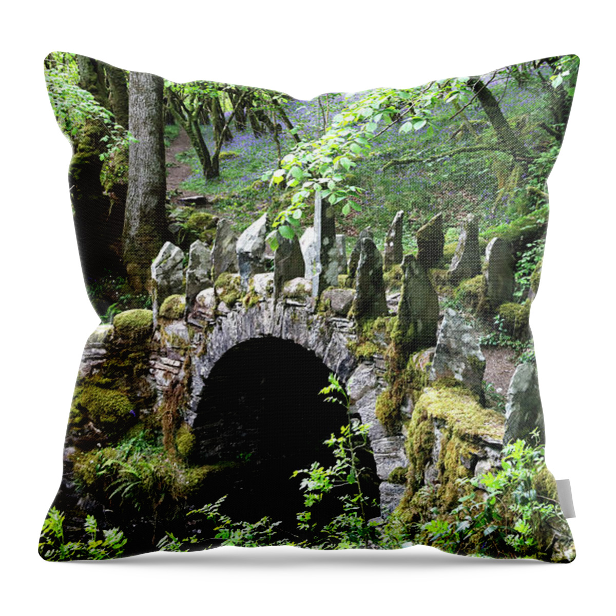Faerie Bridge Throw Pillow featuring the photograph The Enchanted Forest by Nicholas Blackwell