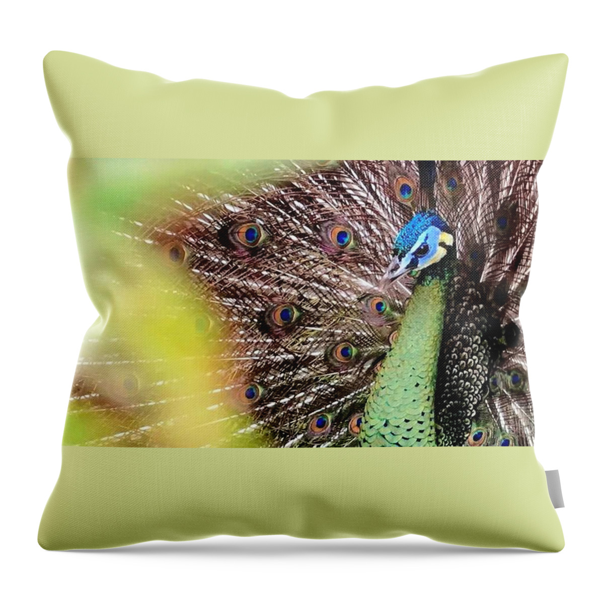 Blue Throw Pillow featuring the photograph The Eyes Have It by Frederick Lyle Morris - Disabled Veteran