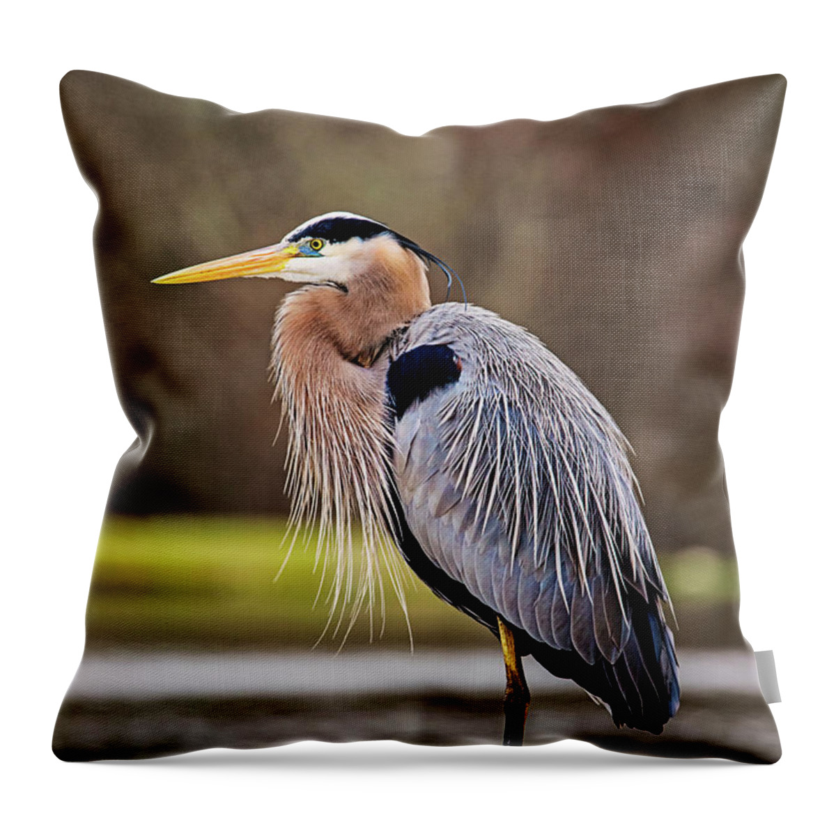 Throw Pillow featuring the photograph The Fisherman by Scott Pellegrin