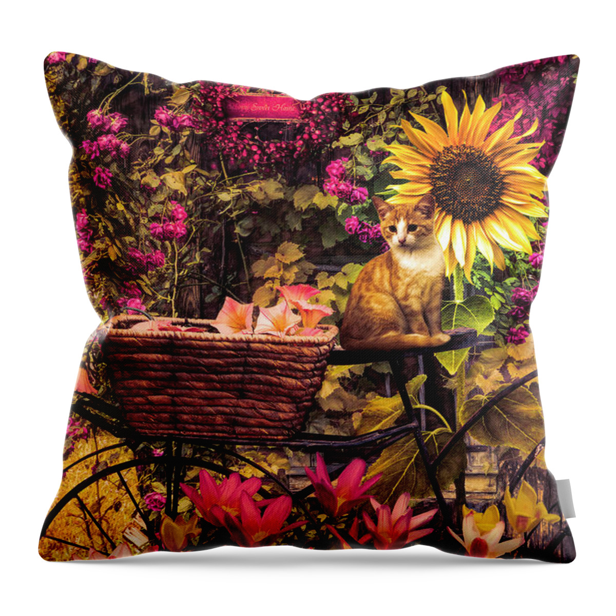 Barns Throw Pillow featuring the photograph The Garden Barn in Early Fall by Debra and Dave Vanderlaan