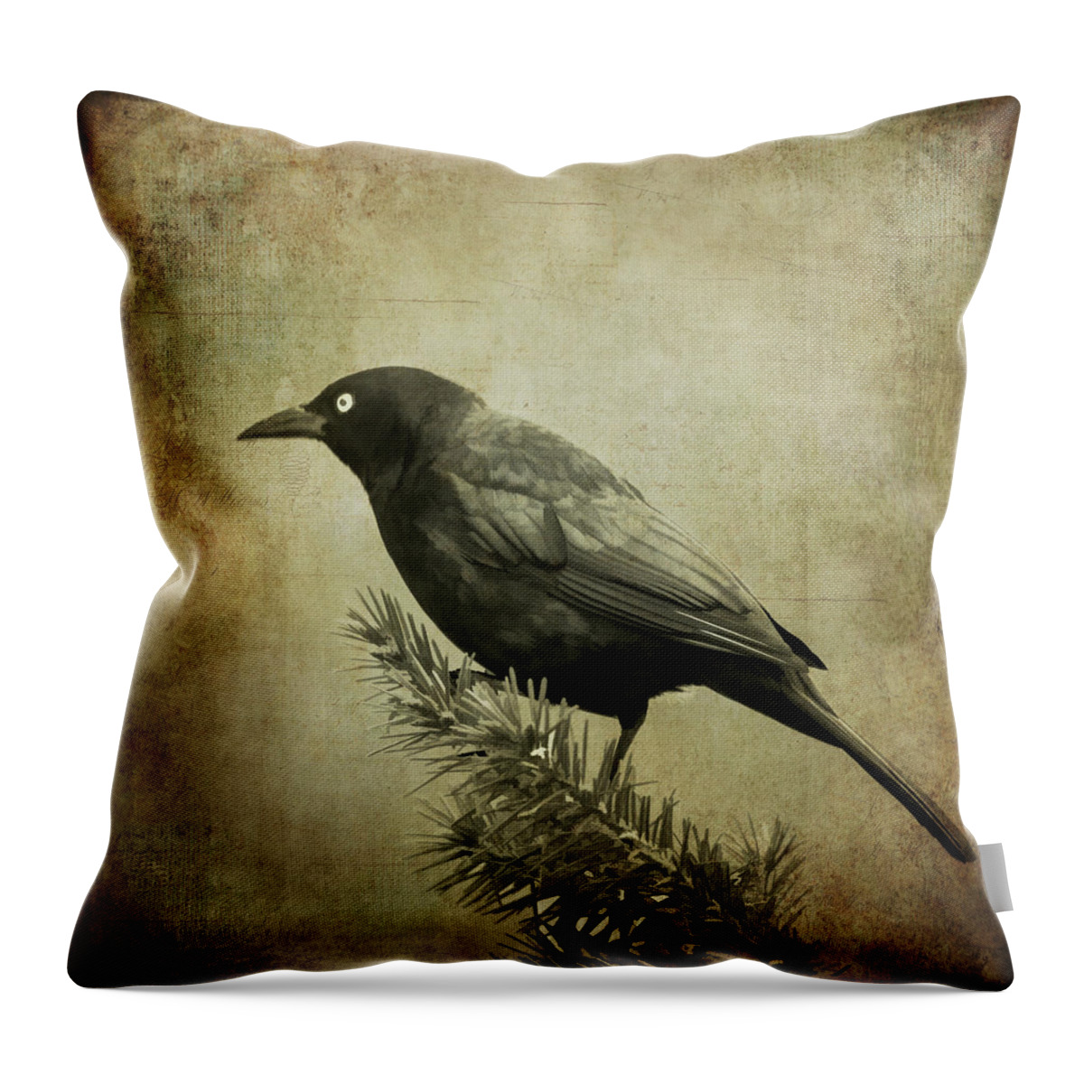 Bird Throw Pillow featuring the photograph The Grackle by Cathy Kovarik