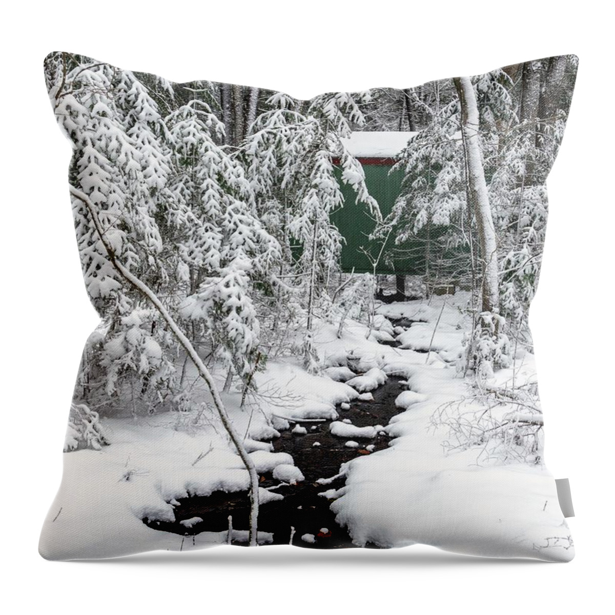Maine Throw Pillow featuring the photograph The Green Shack by Karin Pinkham