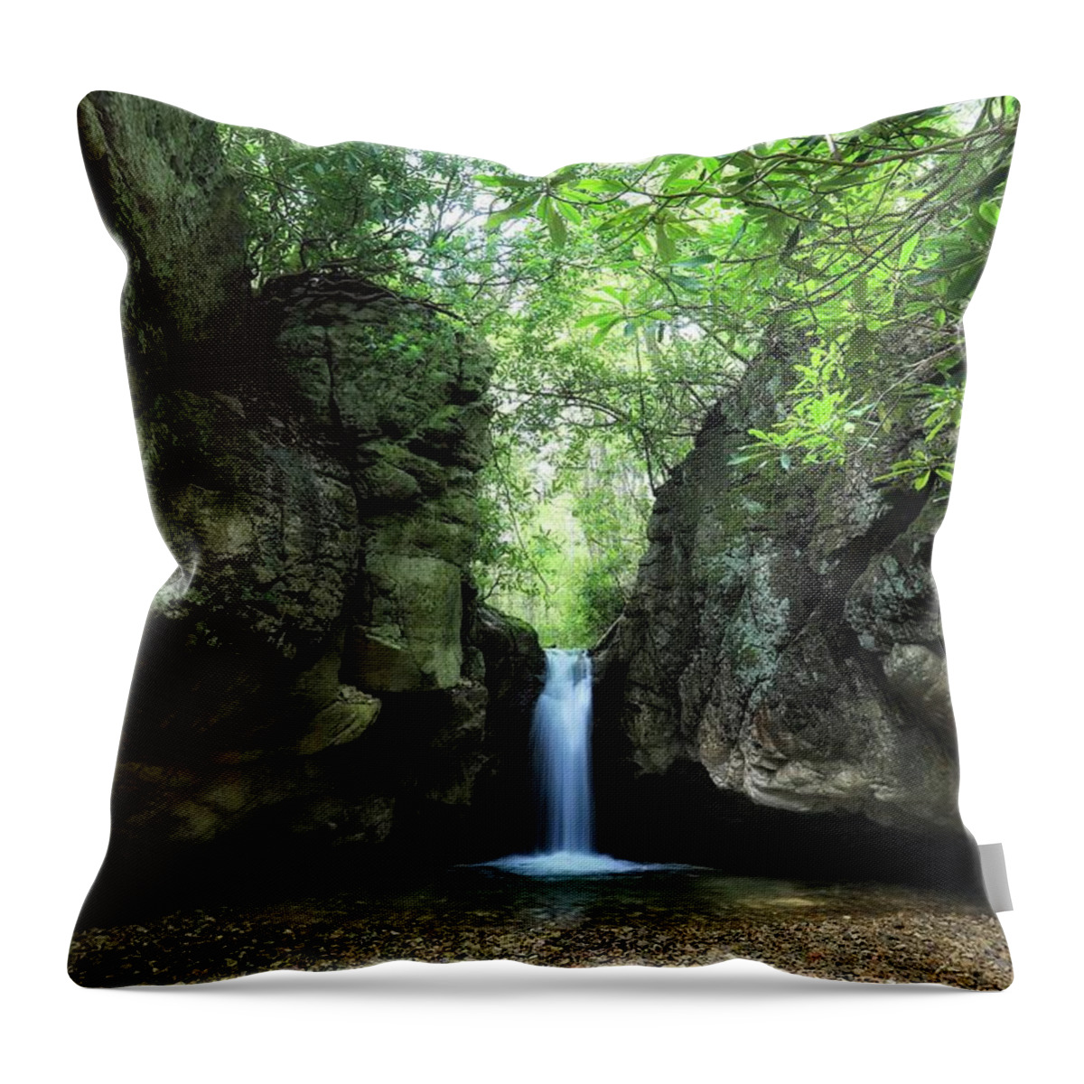 Blue Hole Throw Pillow featuring the photograph The Grotto At The Blue Hole by Chris Berrier