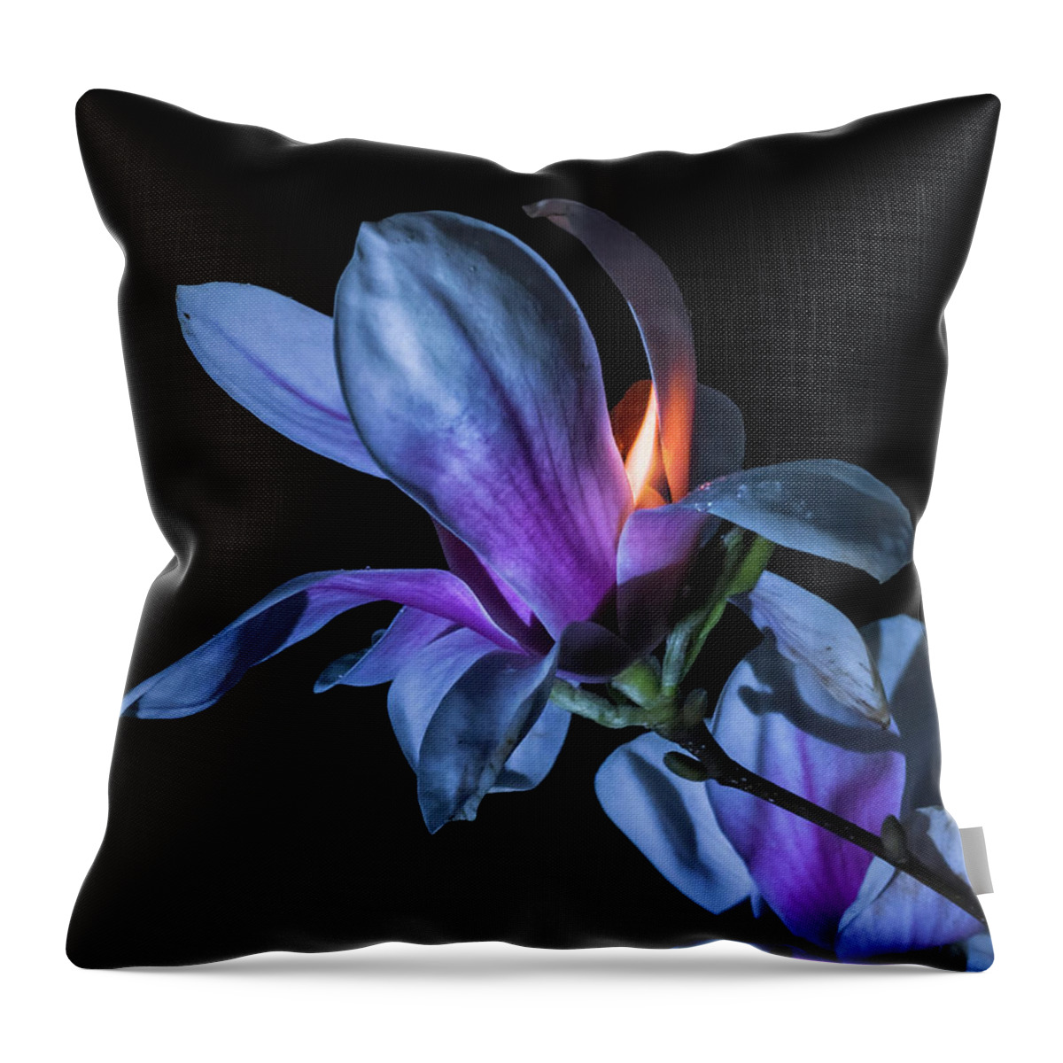 Magnolia Throw Pillow featuring the photograph The Inner Mounting Flame by Jerry LoFaro
