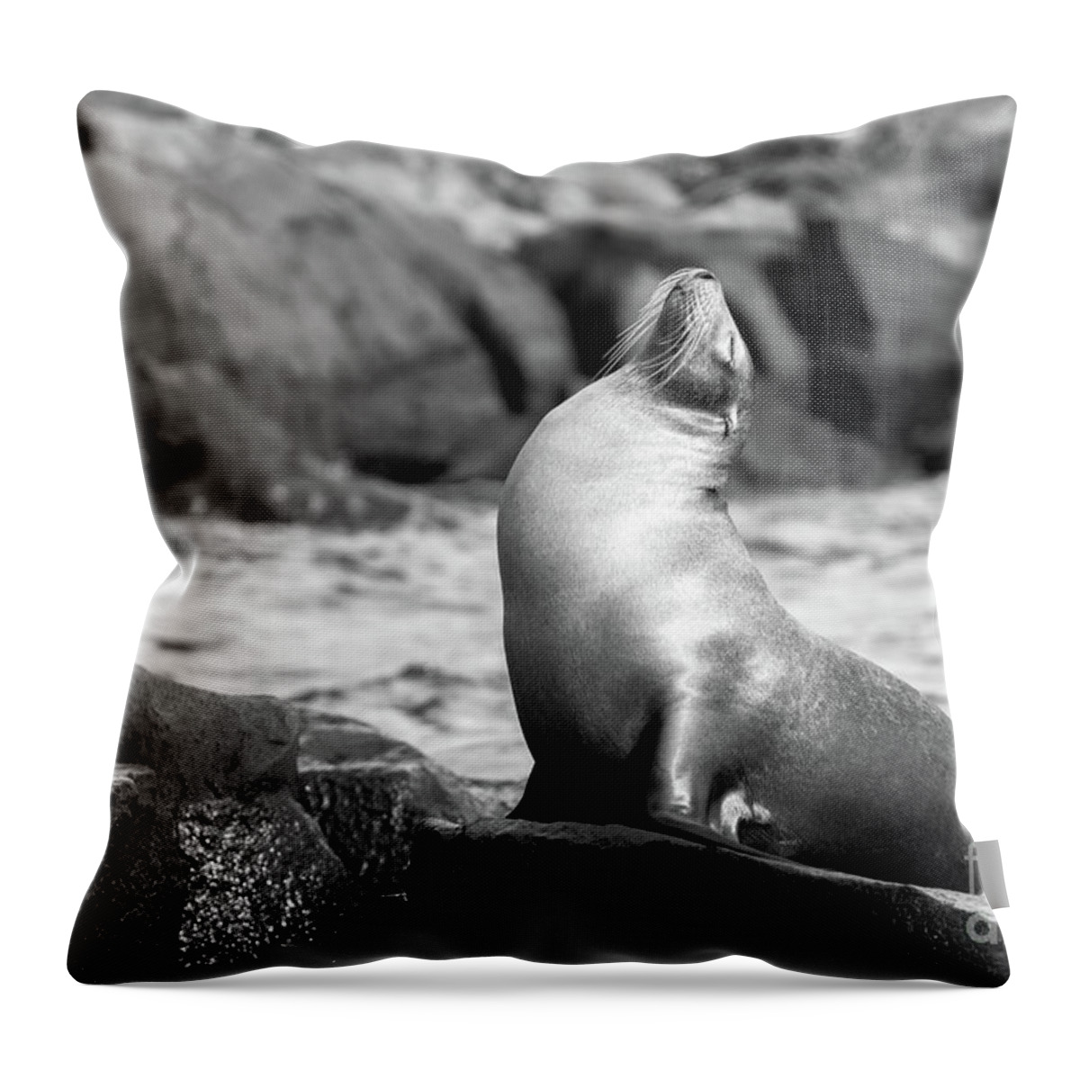 Sea Lion Throw Pillow featuring the photograph The King by Becqi Sherman