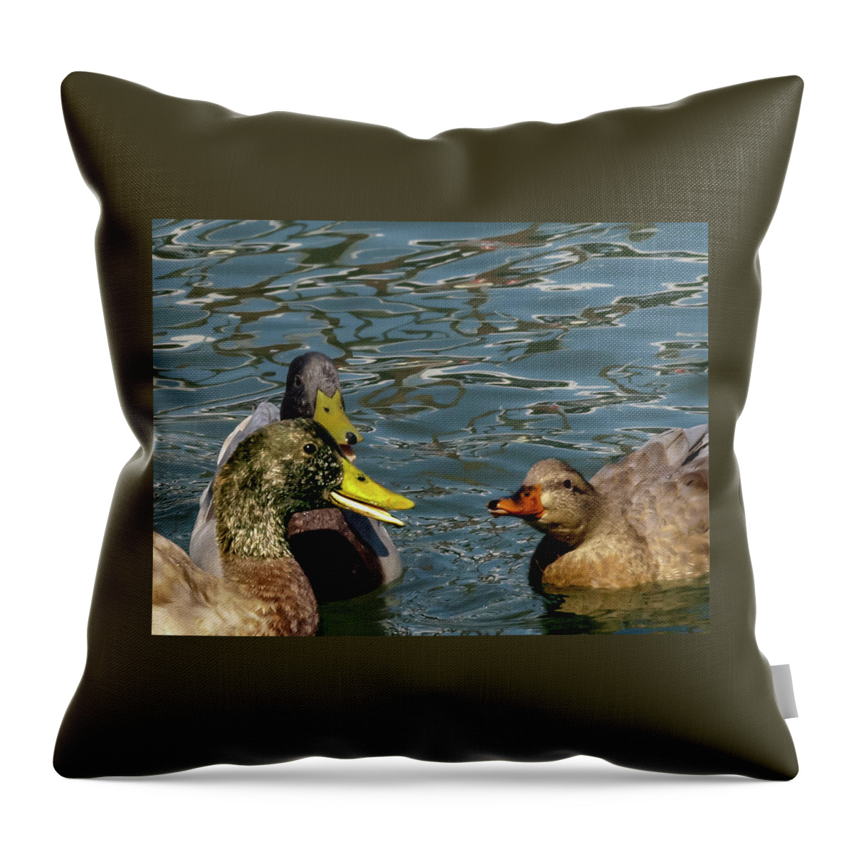 Duck Throw Pillow featuring the photograph The Line 2 by C Winslow Shafer