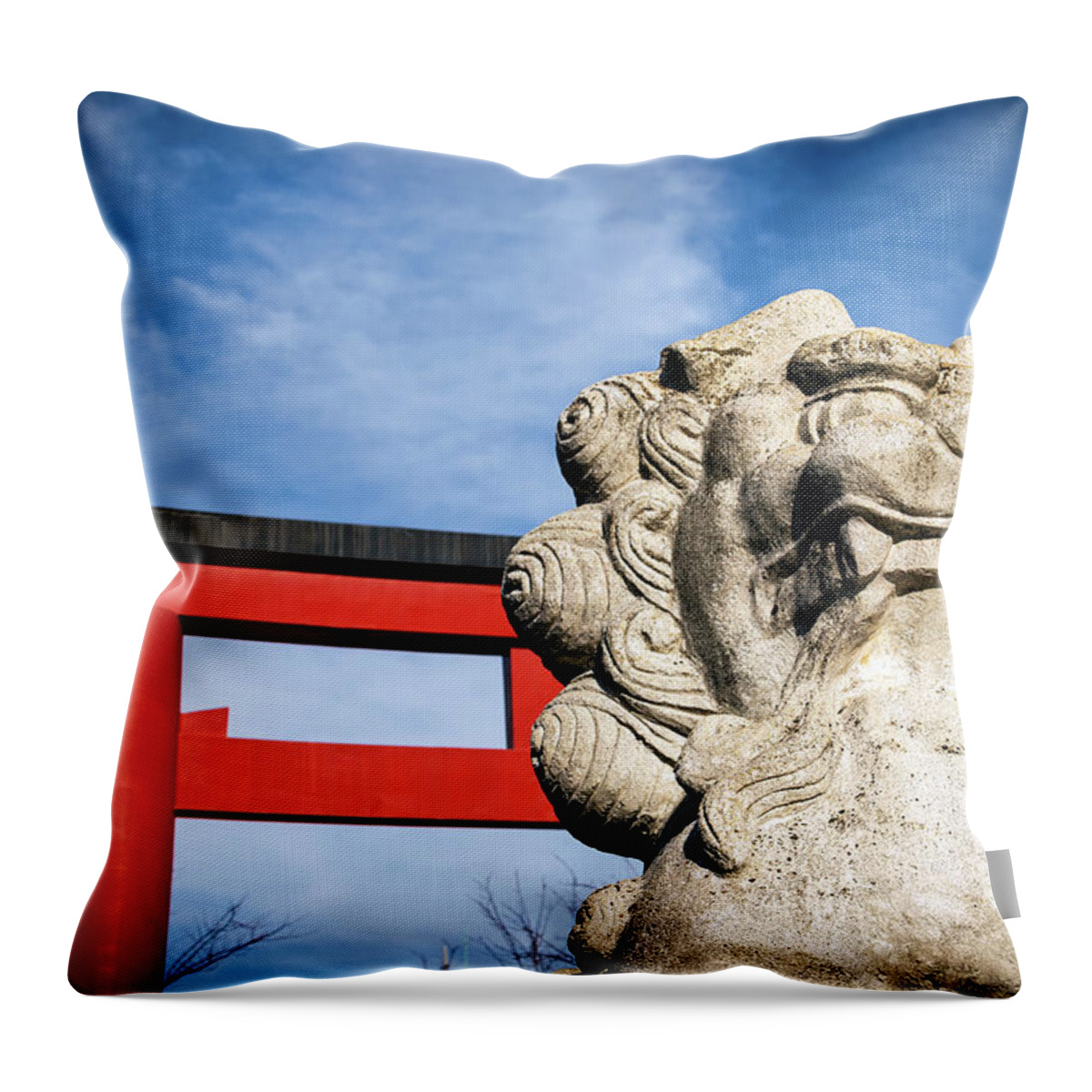 Asia Throw Pillow featuring the photograph The Lion by Bill Chizek