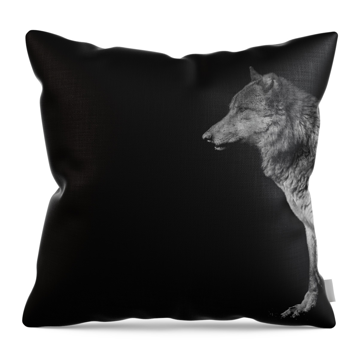 Wolf Throw Pillow featuring the photograph The loner by Paul Neville