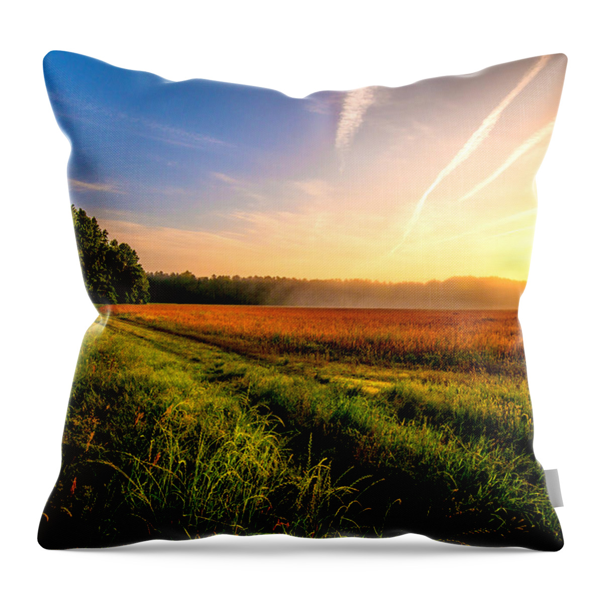 The Long Way Home Prints Throw Pillow featuring the photograph The Long Way Home by John Harding