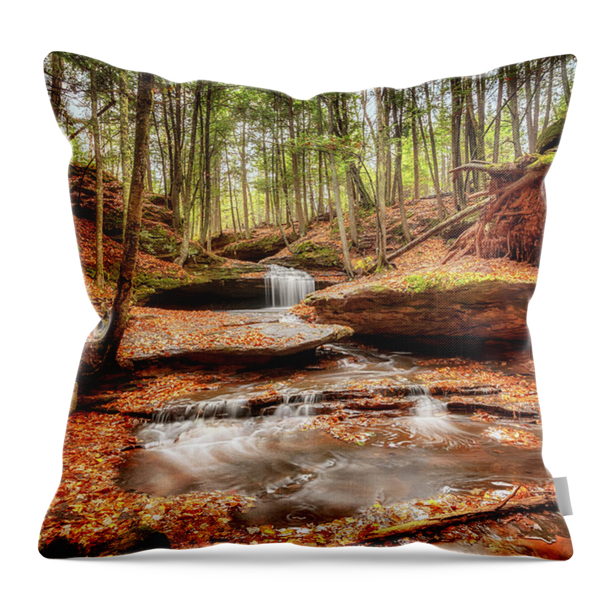Waterfall Throw Pillow featuring the photograph The Magical Dells at Houghton Falls by Susan Rissi Tregoning
