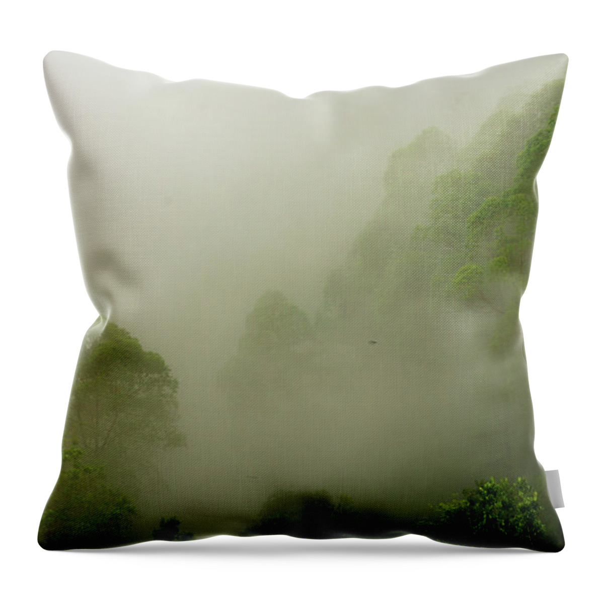 Mist Throw Pillow featuring the photograph The Mist by Ngurah Agus