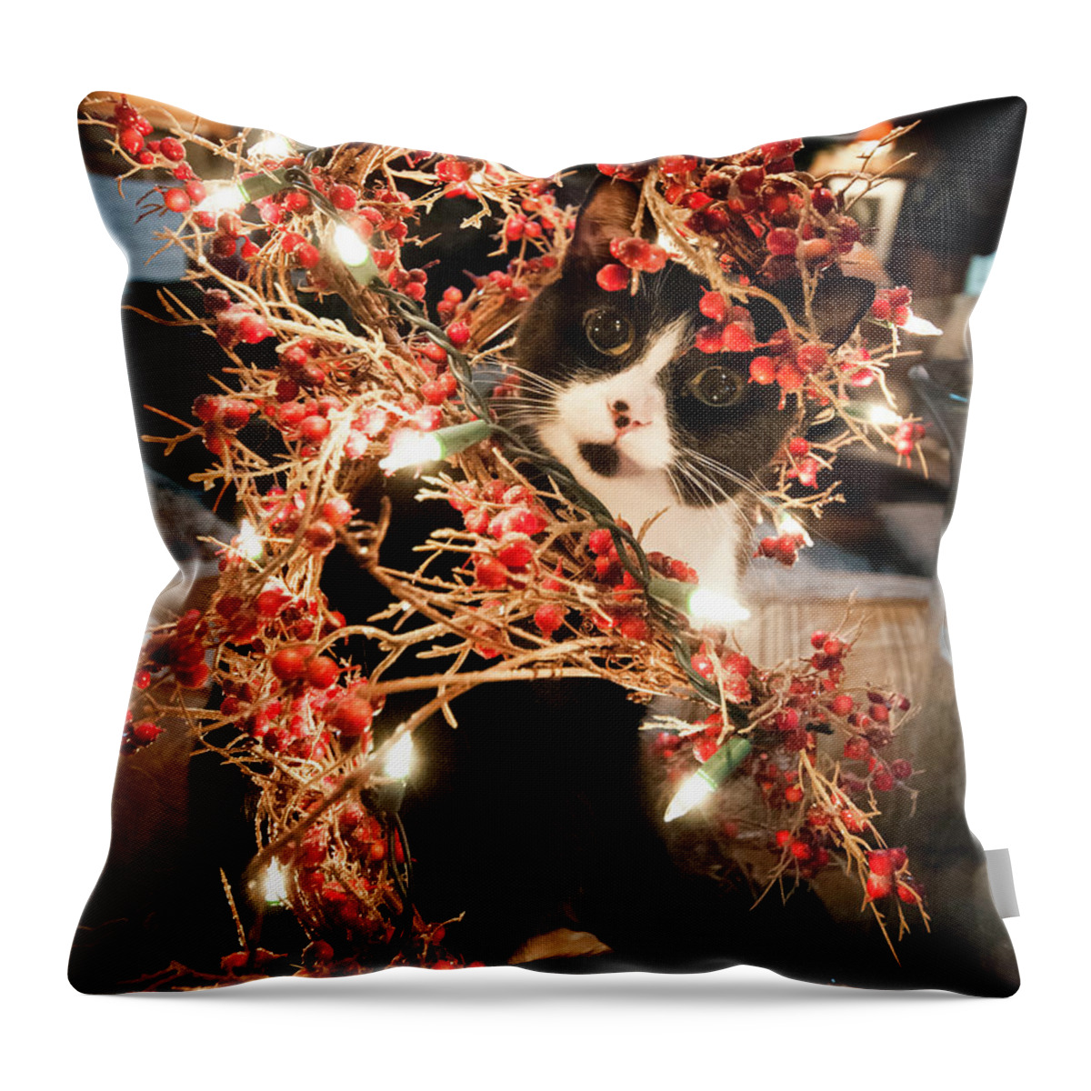 Christmas Throw Pillow featuring the photograph The Munch Christmas by Terry Kirkland Cook