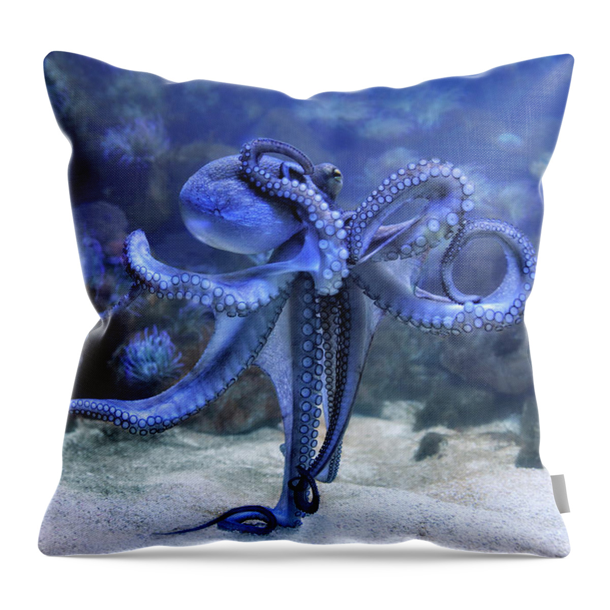 Animals Throw Pillow featuring the photograph The Octopus by Joachim G Pinkawa