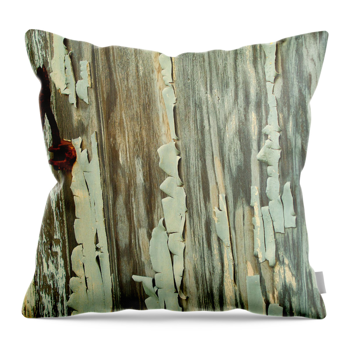 Peeling Throw Pillow featuring the photograph The Peeling Wall by Tom Gresham