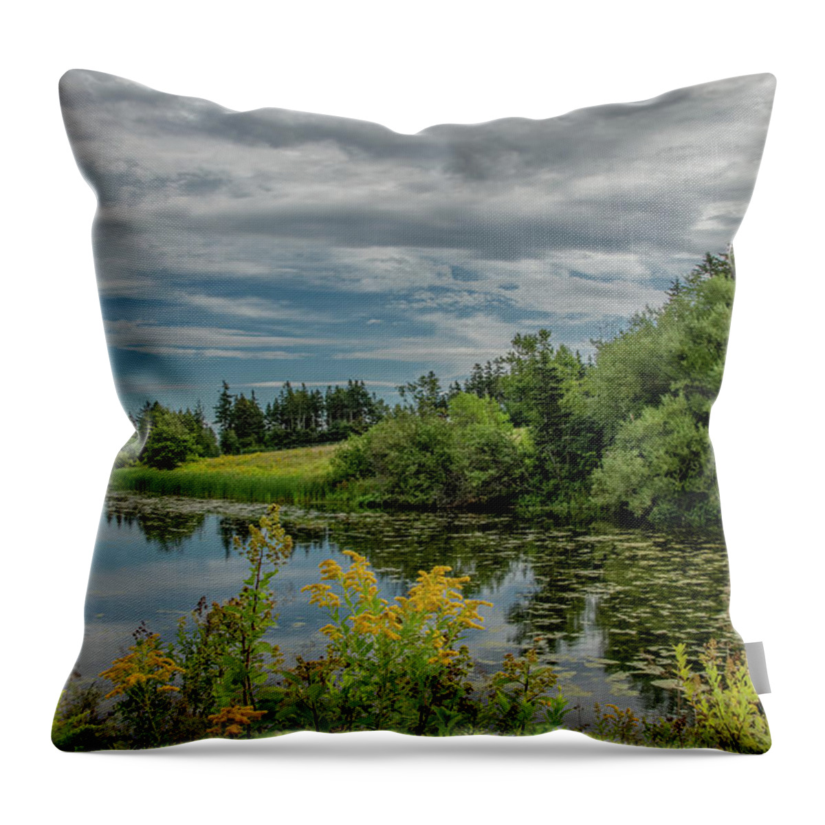 Clark's Lane Throw Pillow featuring the photograph The Pond At The End Of Clark's Lane by Marcy Wielfaert