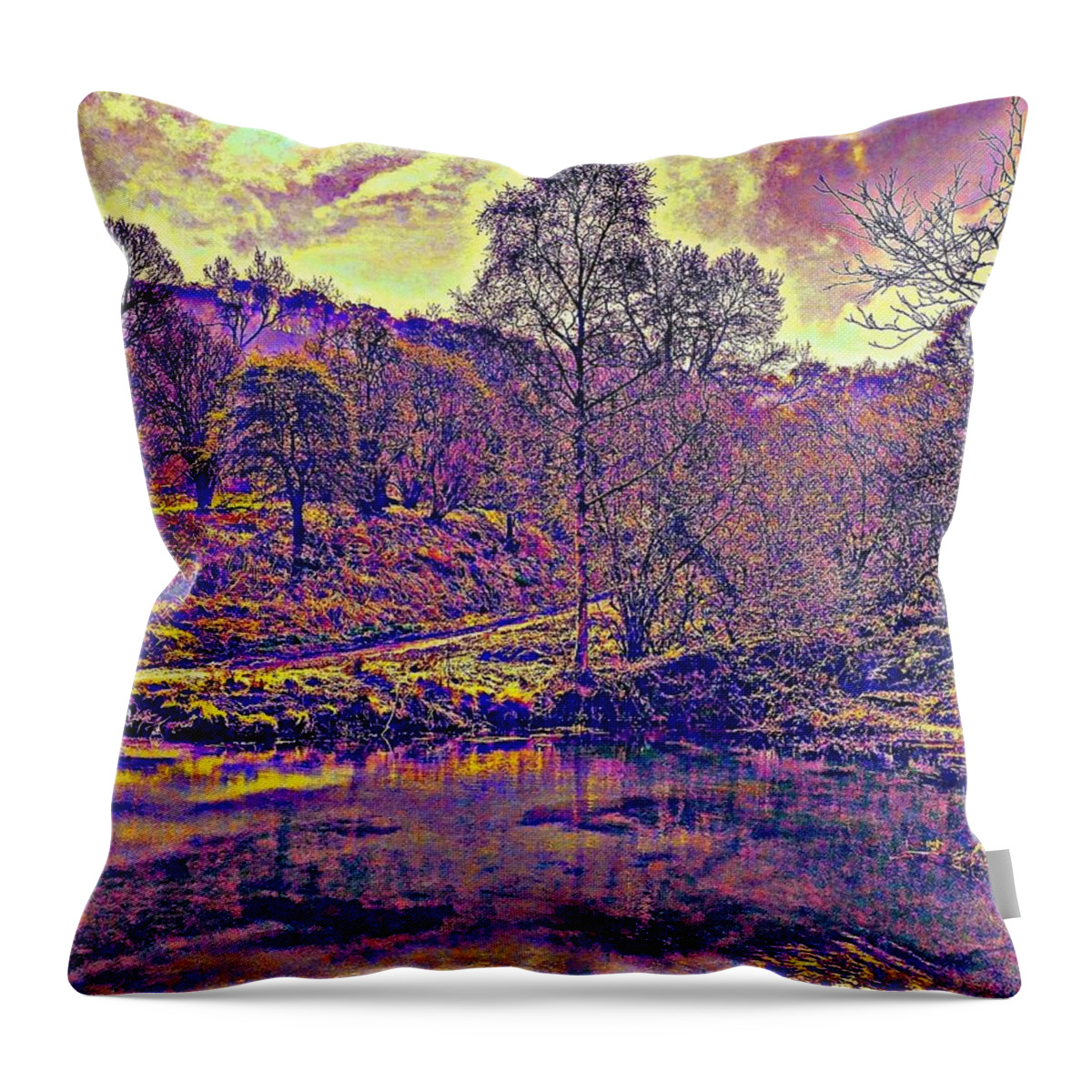 Twilight Throw Pillow featuring the photograph The Pond At Twilight by VIVA Anderson