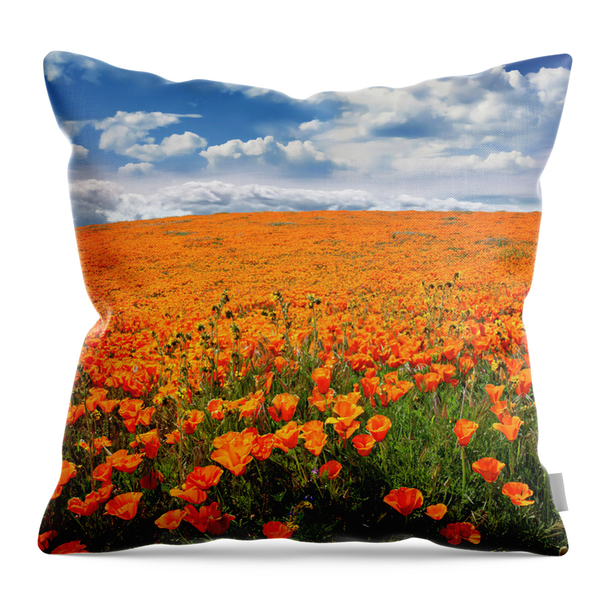 Antelope Valley Poppy Reserve Throw Pillow featuring the photograph The Poppy Field by Endre Balogh