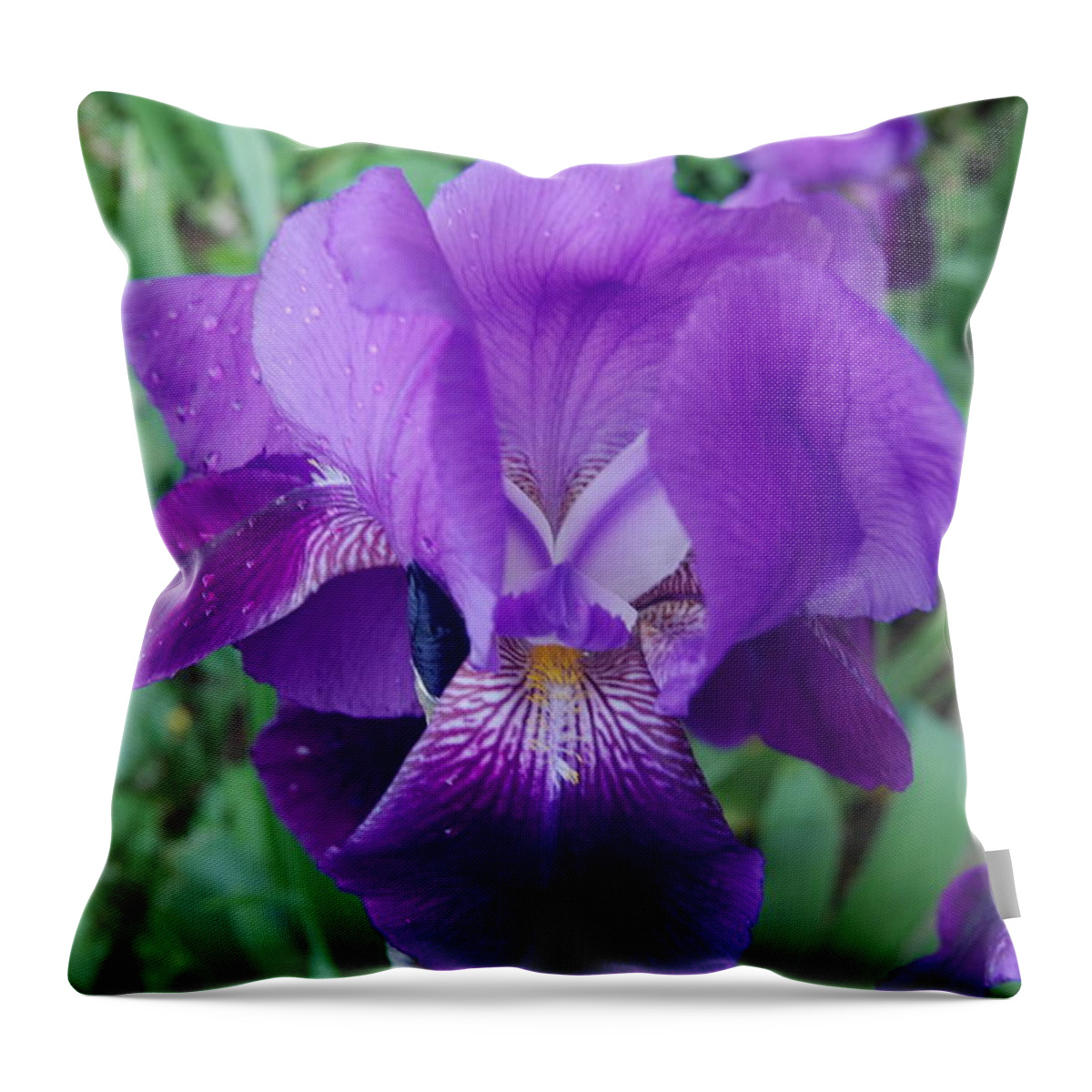 Flowers Throw Pillow featuring the photograph The Purple Iris Flower by Ee Photography