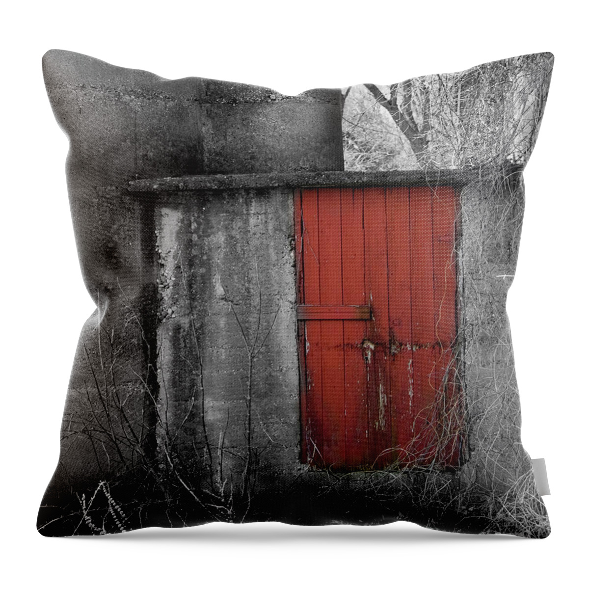 Abandoned Throw Pillow featuring the photograph The Red Door by Billy Knight
