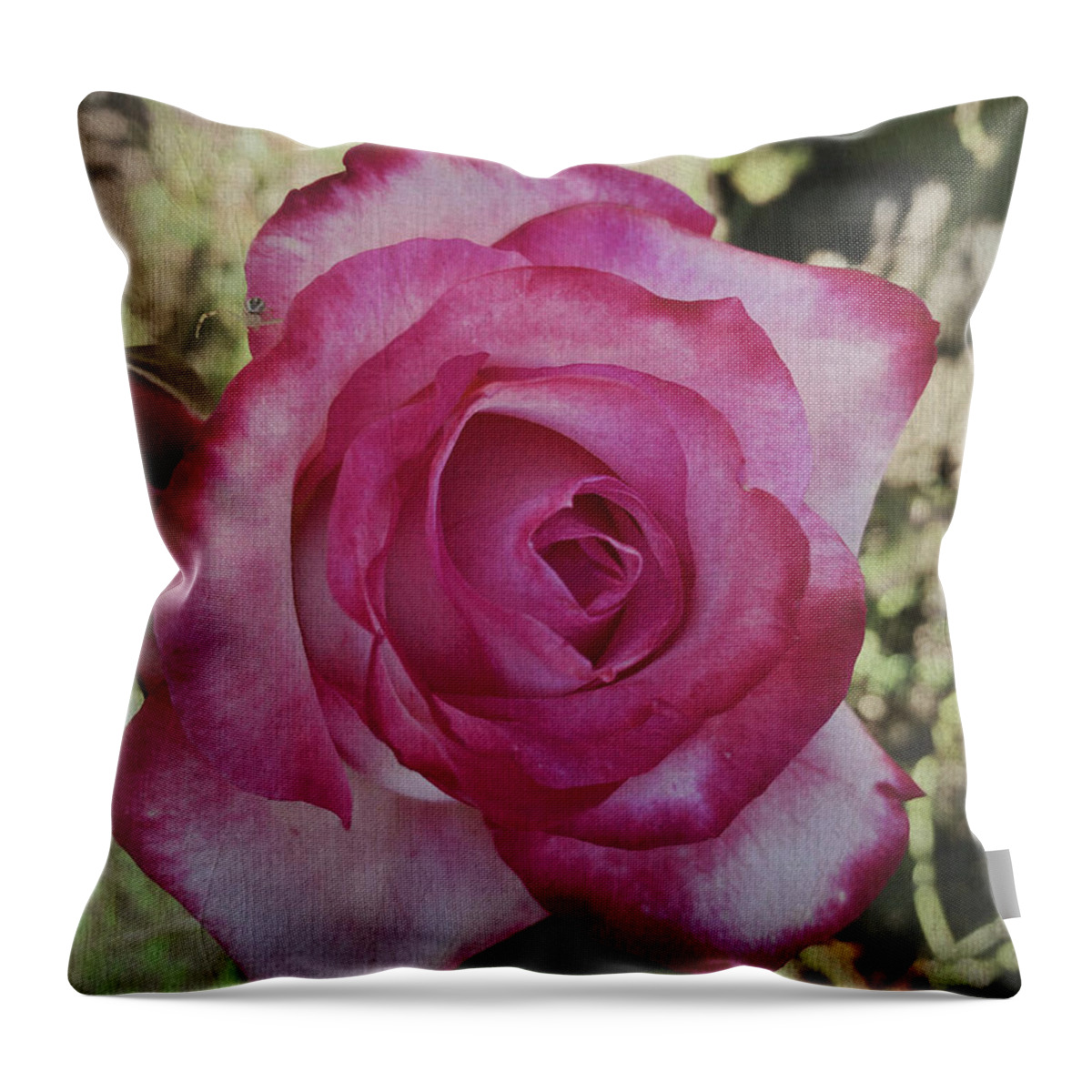 Outdoors Throw Pillow featuring the digital art The Rose by Silvia Marcoschamer
