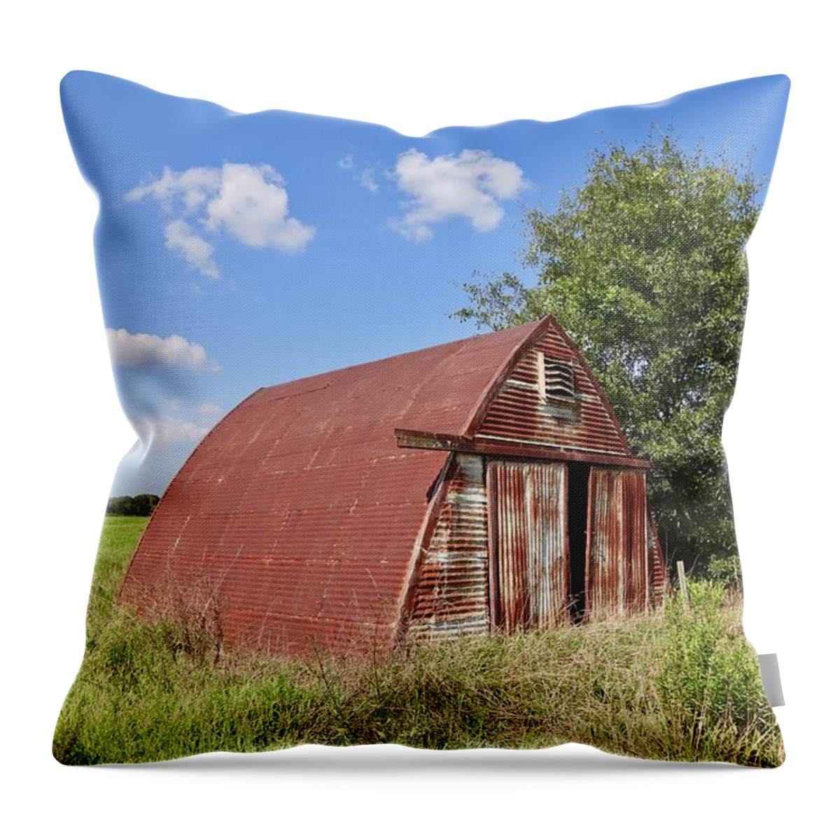 Shed Throw Pillow featuring the photograph The Shed at Vigo by Steven Gordon