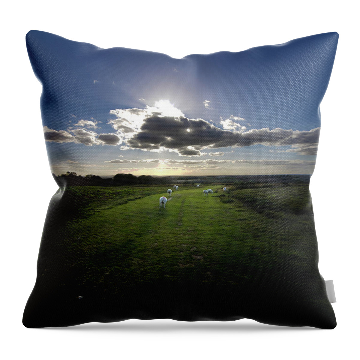 Scenics Throw Pillow featuring the photograph The Sheep Are Always The Last To Leave by James Galpin