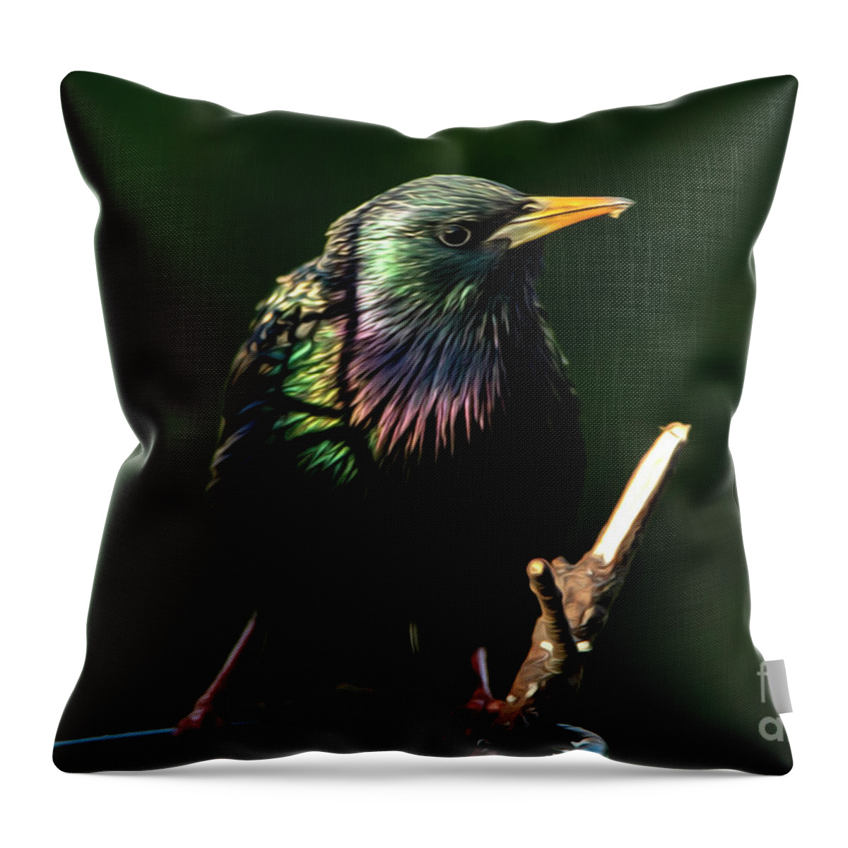 Starling Throw Pillow featuring the photograph The Starling Bird Painting by Sandra J's