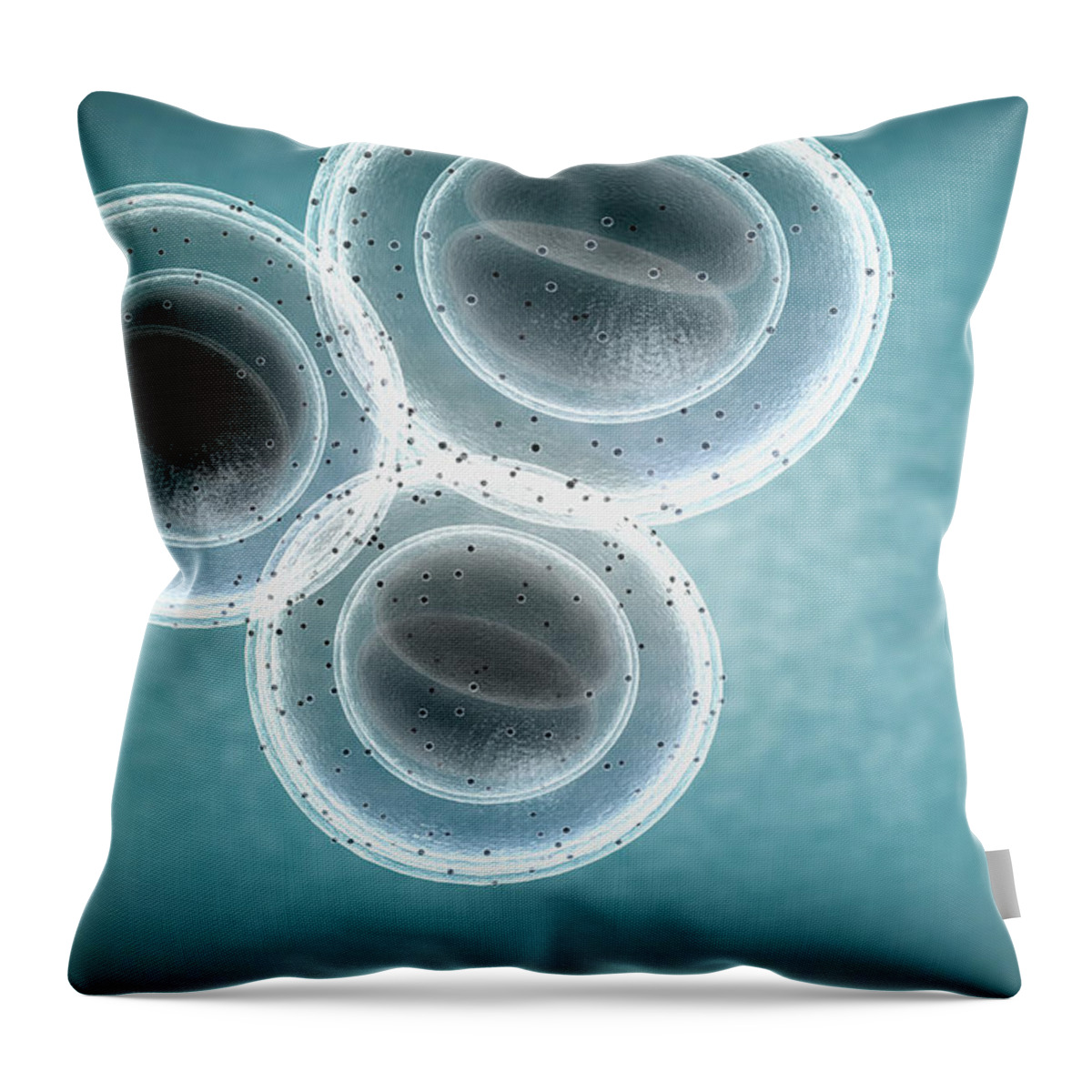 Antibiotic Resistant Throw Pillow featuring the digital art The Structure Of Mrsa by Medicalrf.com