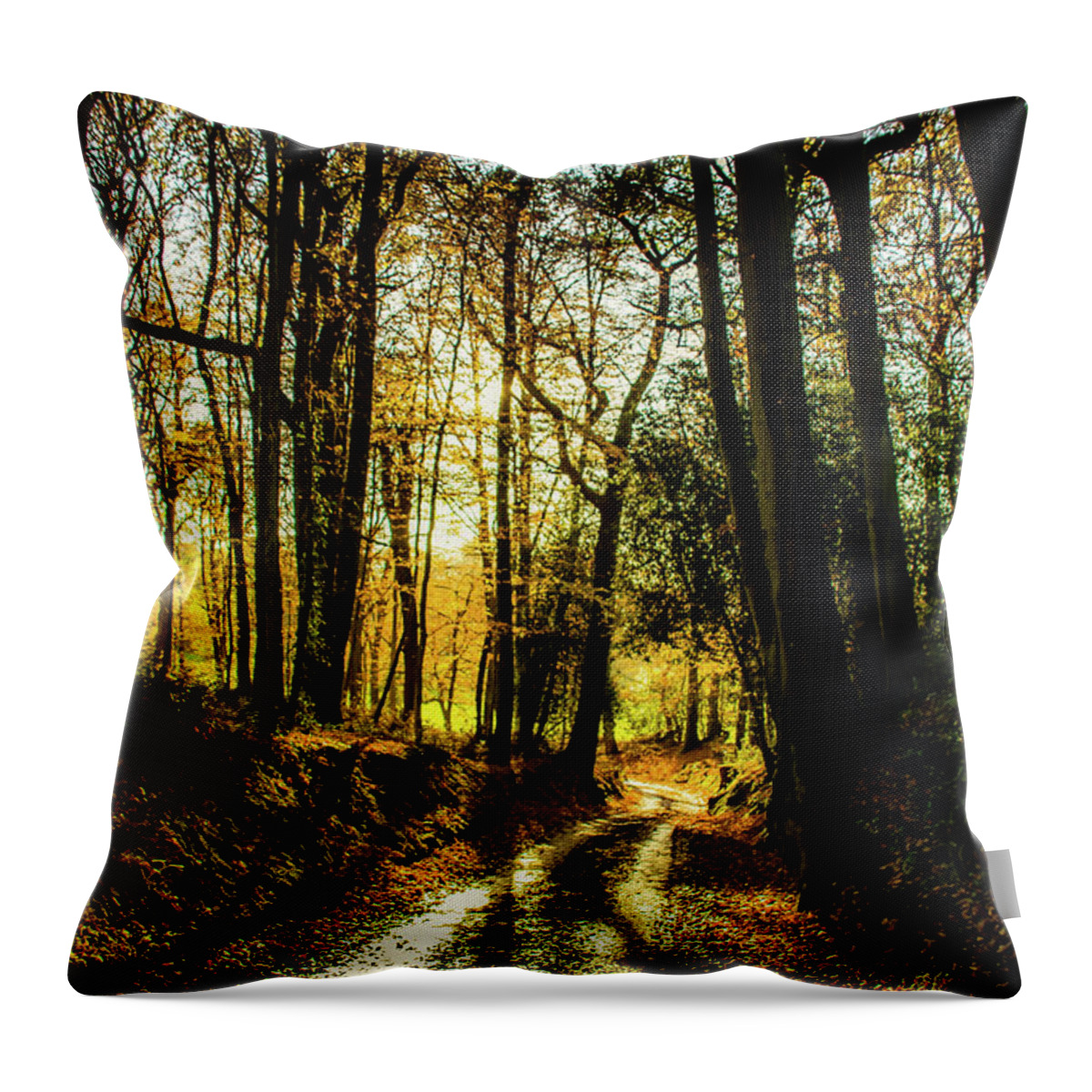 Tree Throw Pillow featuring the photograph The Sunset Forest by Christopher Maxum