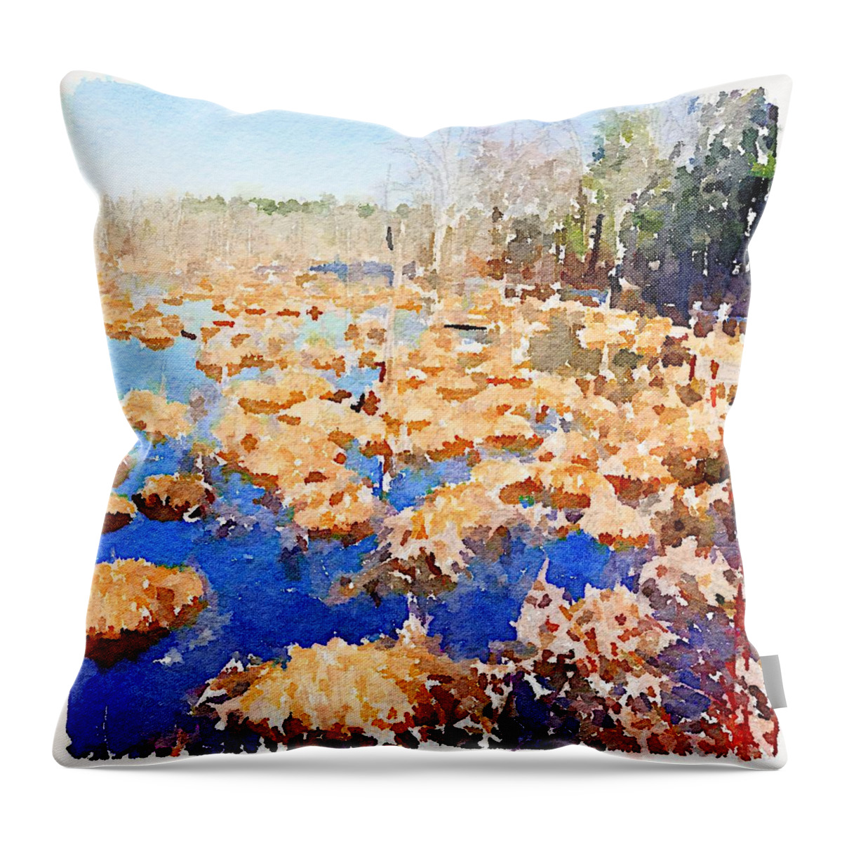Photoshopped Image Throw Pillow featuring the digital art The swamp in January by Steve Glines