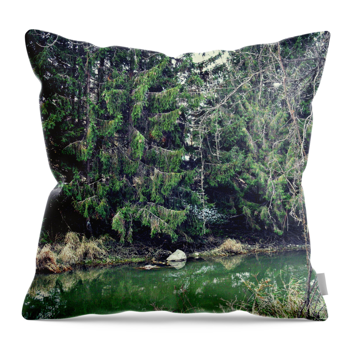 The Two Meet Throw Pillow featuring the photograph The Two Meet by Cyryn Fyrcyd