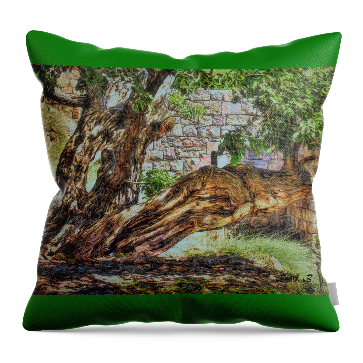 Trees Throw Pillow featuring the photograph The Walnut Tree by Bearj B Photo Art
