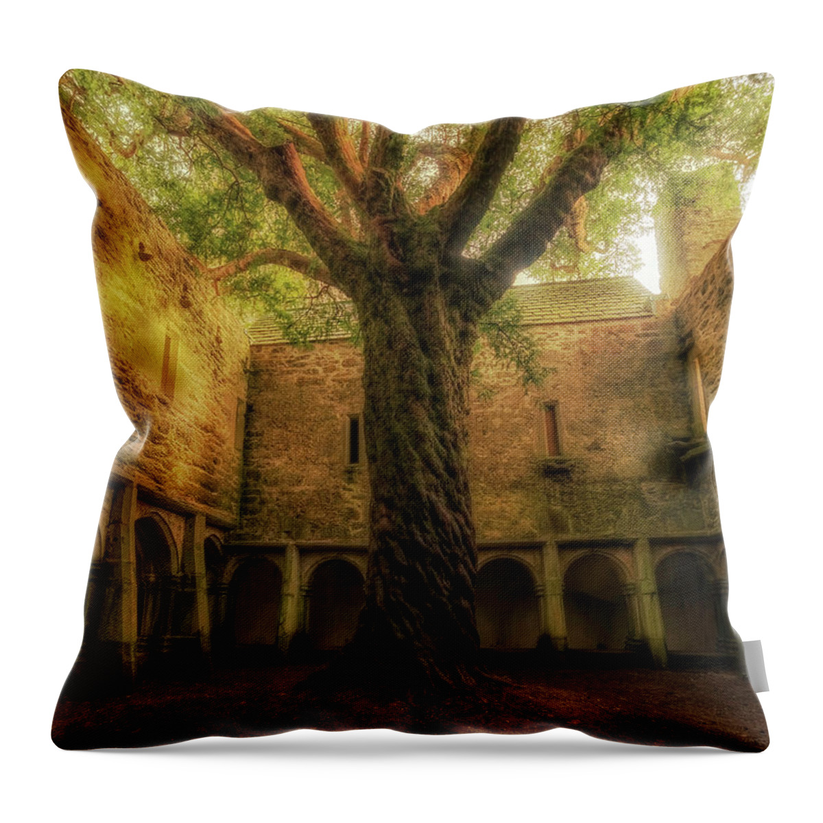 Tree Throw Pillow featuring the photograph The Watchman by Arthur Oleary