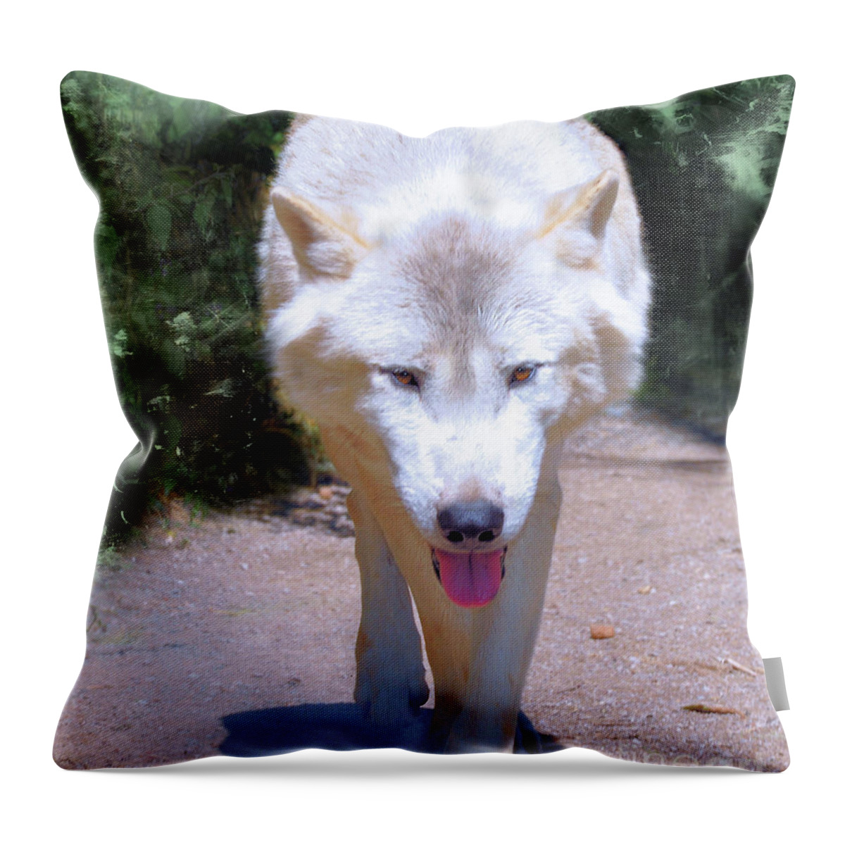 Wolf Throw Pillow featuring the photograph The White Wolf by Elaine Manley