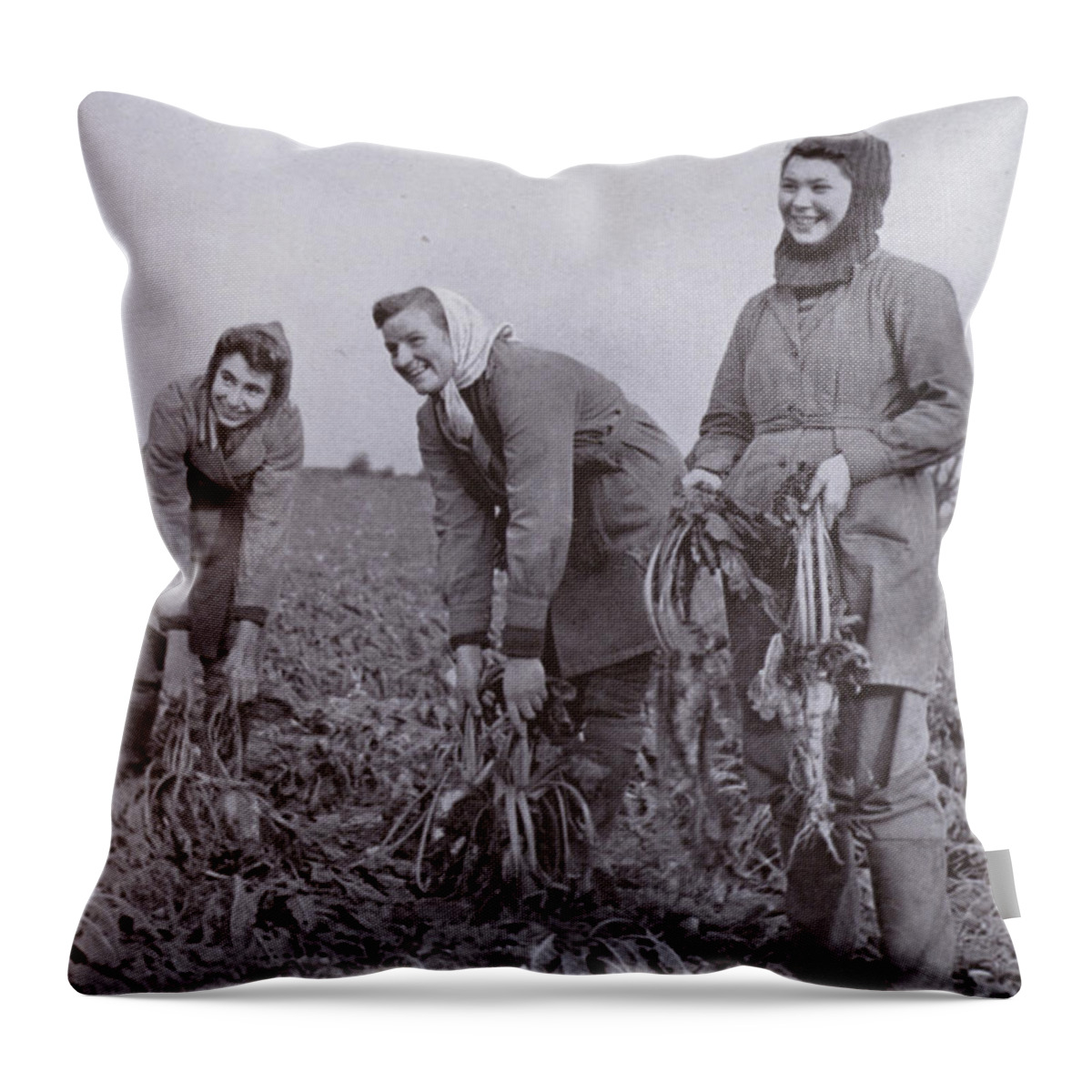 History Throw Pillow featuring the photograph The Womens Land Army In The Front Line, Sugar Beet Lifting by Harold Burdekin