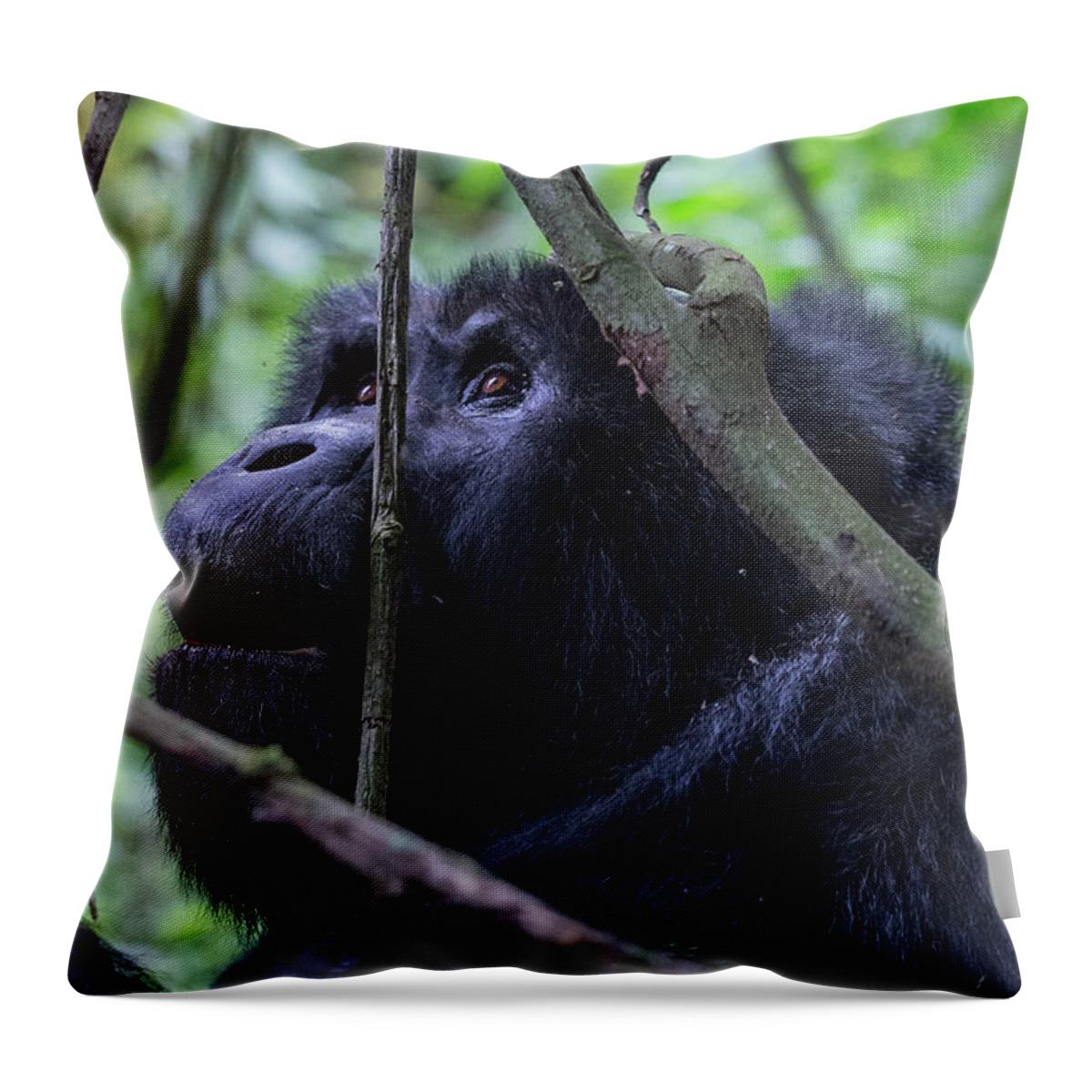 Uganda Throw Pillow featuring the photograph The Wonder by Peter Kennett