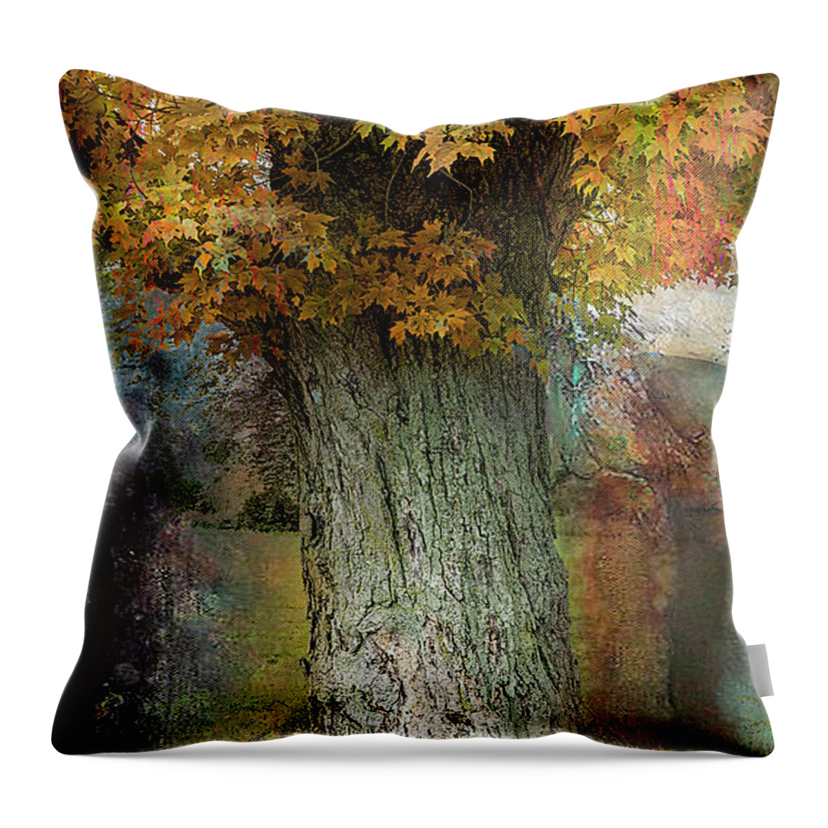 Tree Throw Pillow featuring the photograph This Old Tree by John Rivera